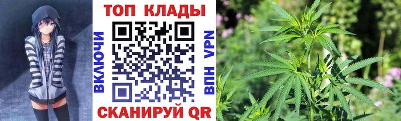 Как найти наркотики Грязовец Alpha-PVP  COCAIN  Мефедрон  ГАШИШ 