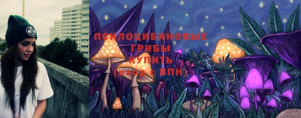 a pvp Алзамай