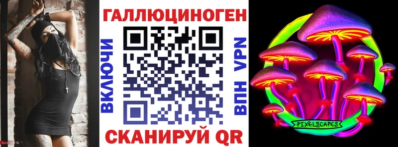 Галлюциногенные грибы Psilocybine cubensis Грязовец